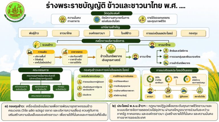 Read more about the article (ร่าง) พระราชบัญญัติ ข้าวและชาวนาไทย